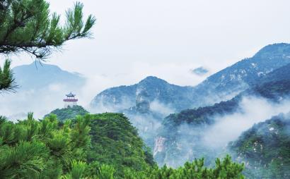 探索吉鹿力,尽在老公的妈妈和我不和,怎么办?问答社区!